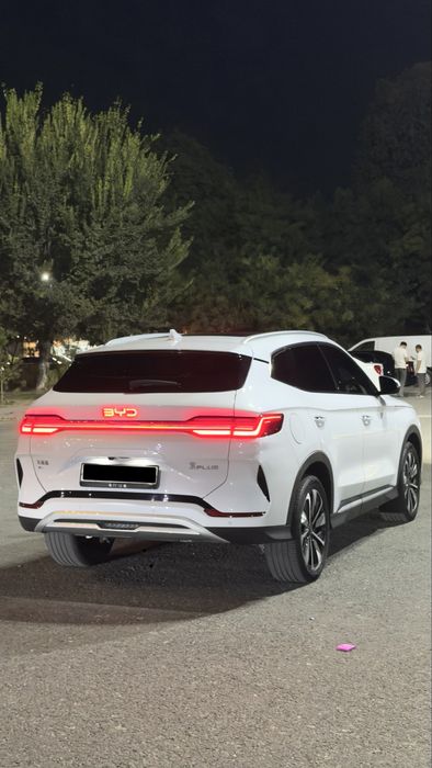 Byd champion 605