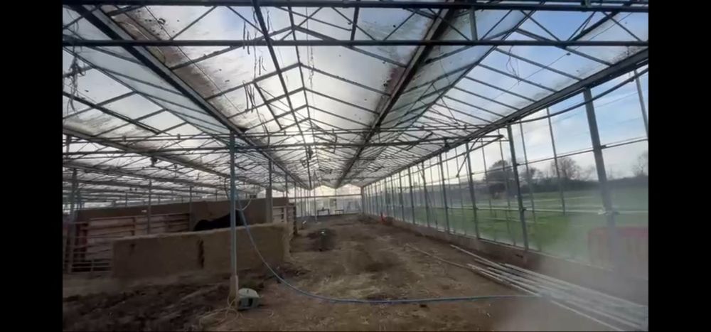 Sera de sticla pe profil metalic