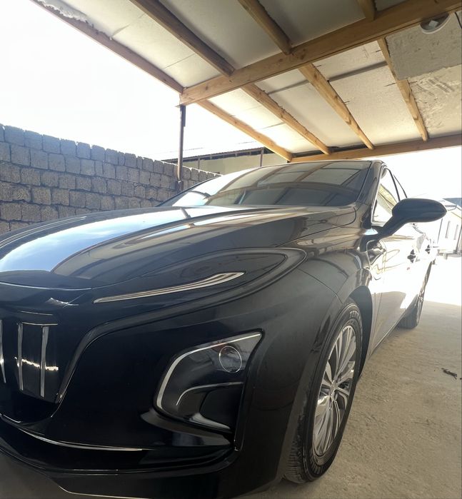Hongqi eqm5  505