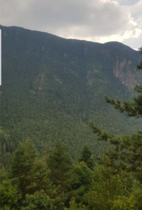 Продава инвестиционен парцел в Паничище