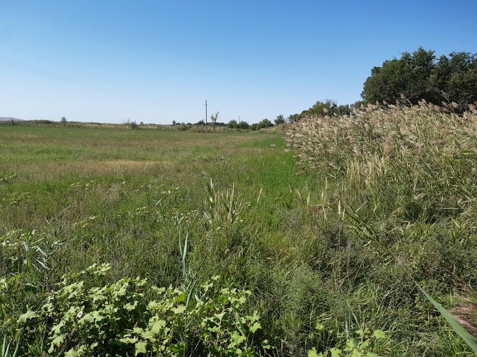 Земельный участок 2.4 га