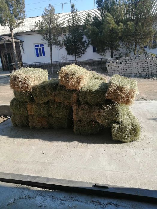 Топтық секс көрінісіндегі модельді қараңыз