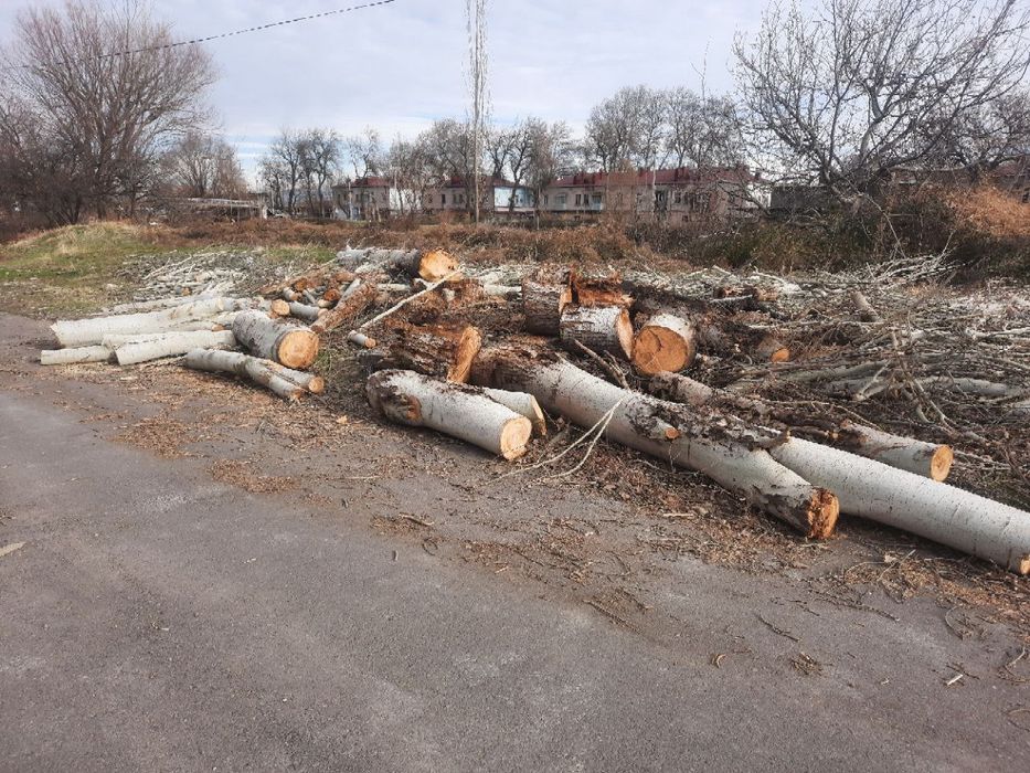 Продам тополиные дрова за 2миллиона