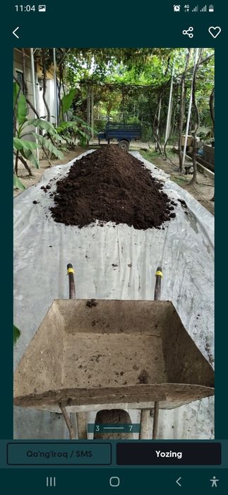 Biogomus va Chuvalchang