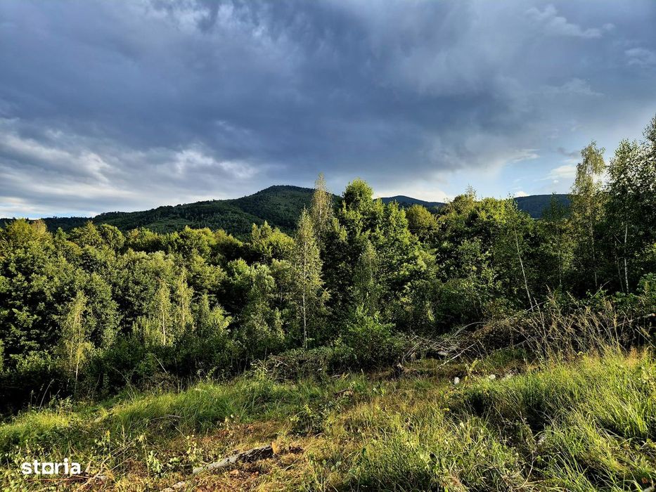 Natura/ Cabana de weekend/liniste, relaxare la Sinca Noua Brasov