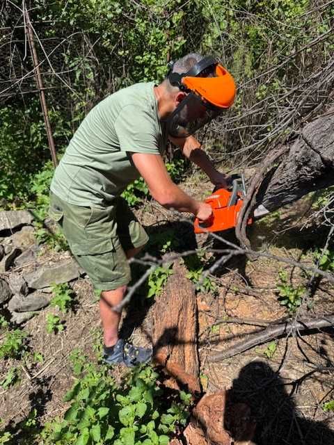 Gradinarit, toaletare copaci, tocat crengi, mentenanta spatii verzi