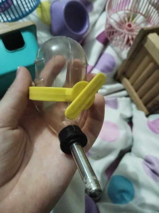 Вещи для грызунов