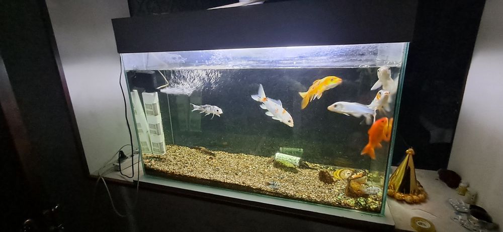 Аквариум сатылады