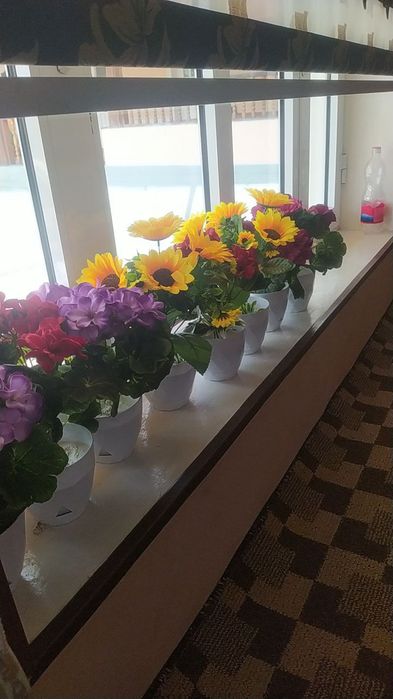 Оптим нархда суний гуллар