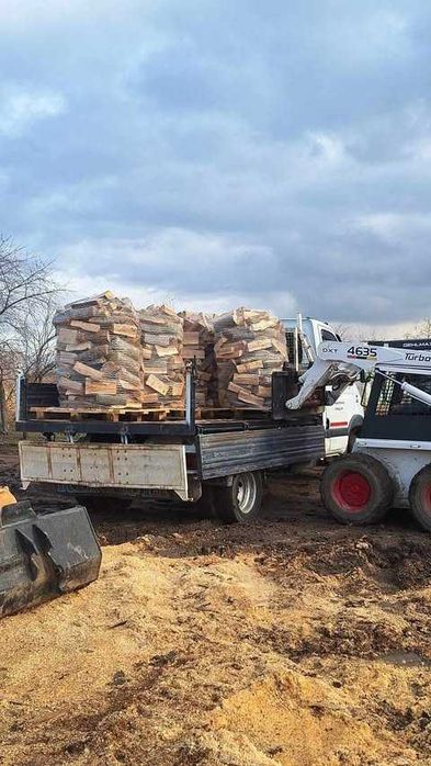 Fag - Stejar USCAT lemn de foc Giurgiu-Teleorman