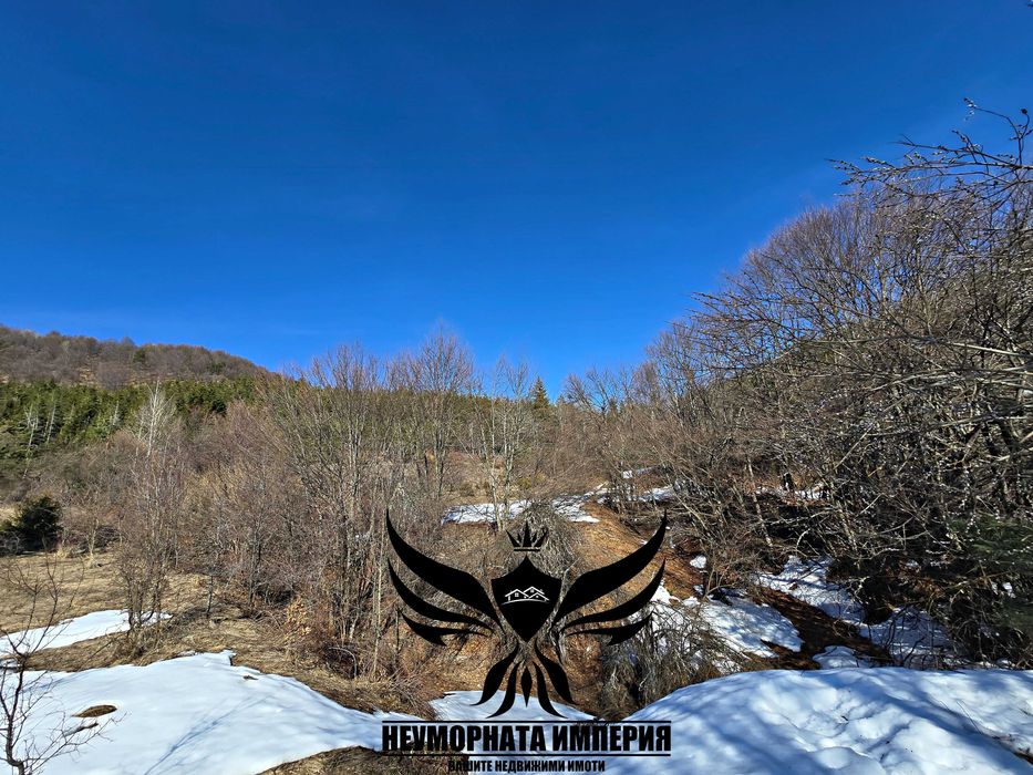 Продавам земя 5000 кв. в село Врата, местност Чуката общ.Асеновград