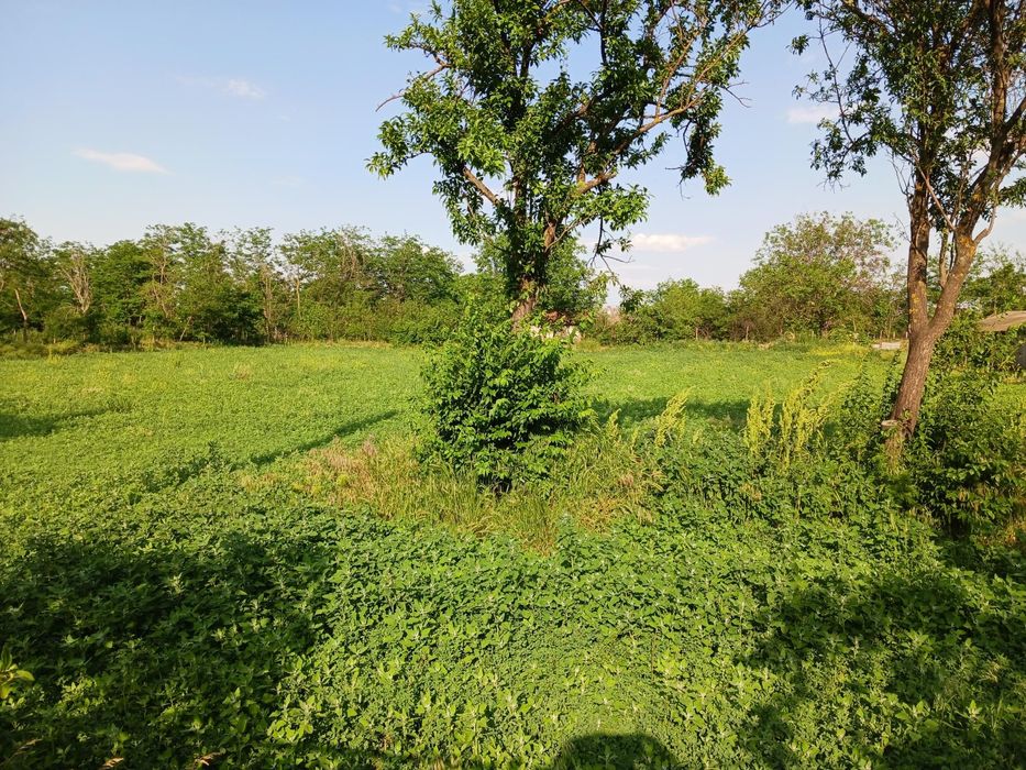 Vând teren intravilan Caltuna