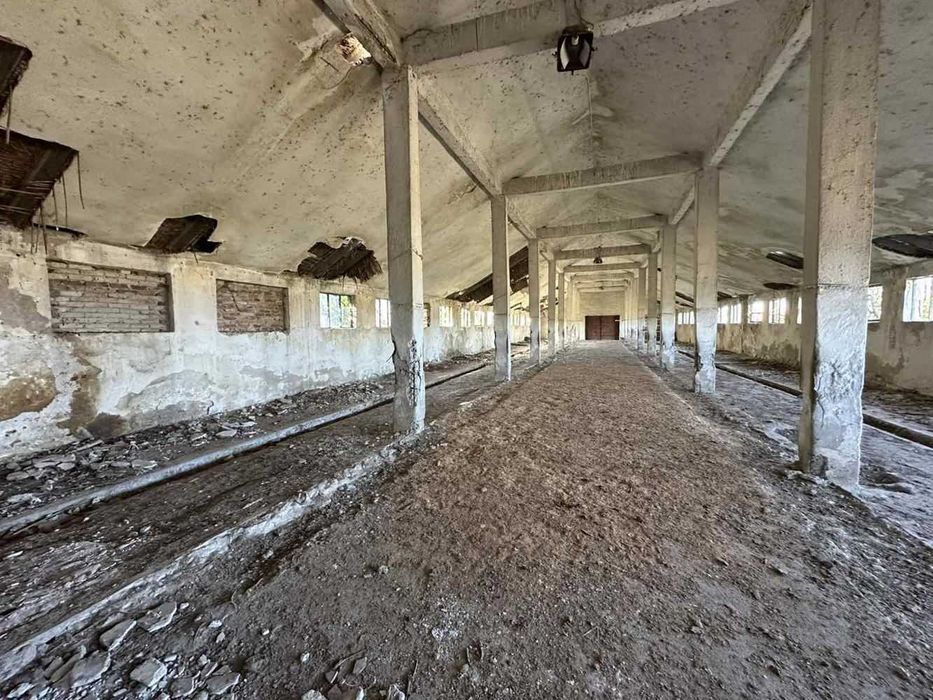 Продава се Промишлена сграда в с. Маноле, Област Пловдив - 5500 кв.м за 20 €/кв.м - Снимка #4