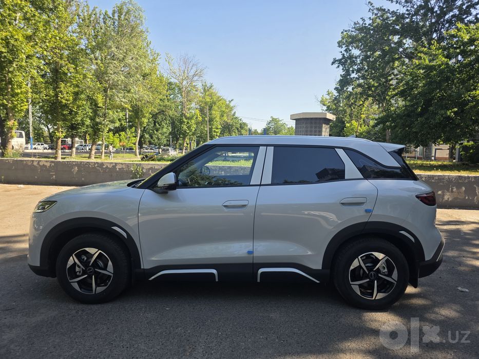 Byd yuan up 2025