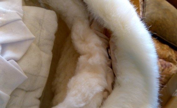 Комплект на выписку