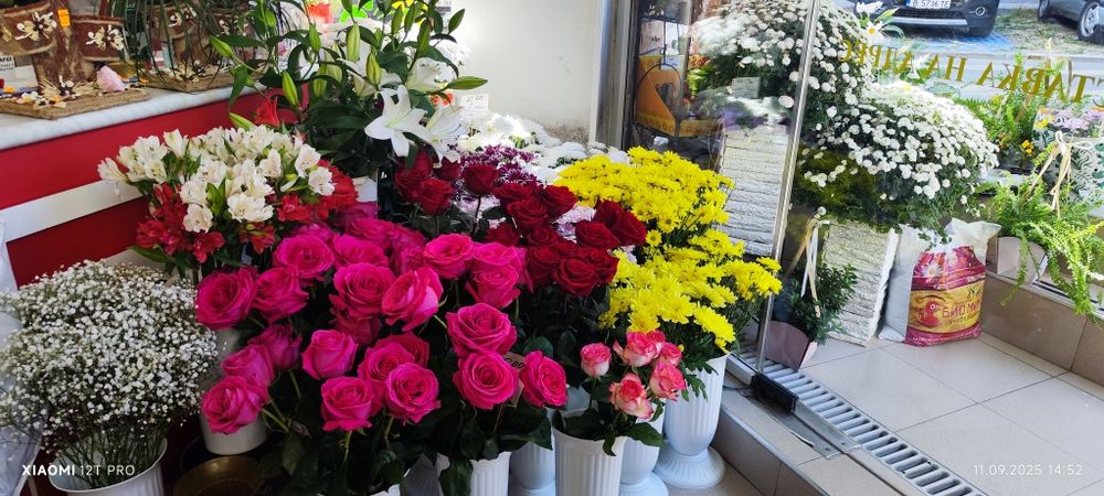 Безплатно посредничество в областта на услугите и търговията.