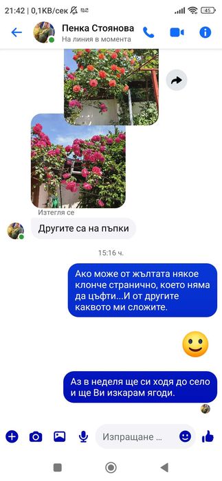 Нов, сребърен синджир/ ланец / колие в кутия за подарък. 6 модела.