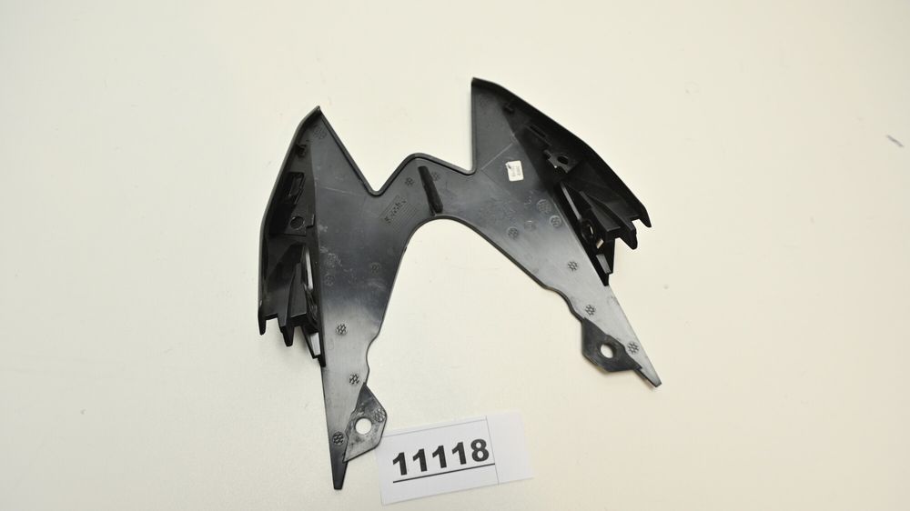 Carena Codita Spate BMW S1000R K47 2014