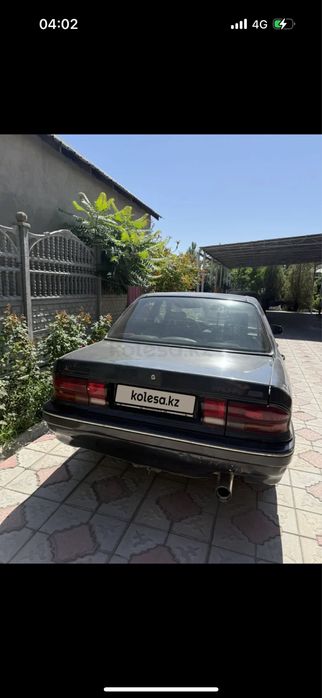 Мютцибици галант