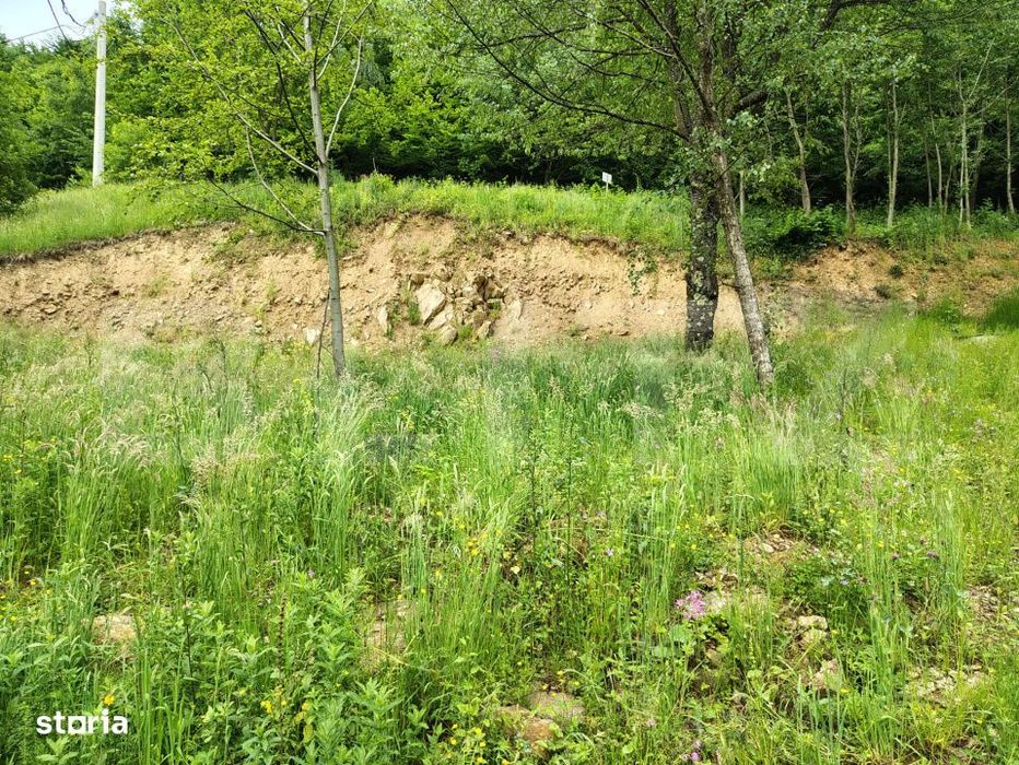 Teren zona de munte 1800 mp, cu apa de izvor, la Somesu Rece