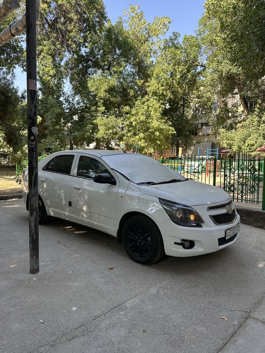 Cobalt A/T Midnight 2025 Tozza