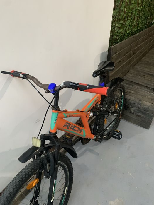 Bicicleta rich alpin
