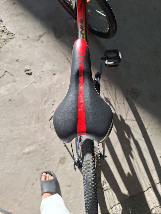 Phonics  велосипед