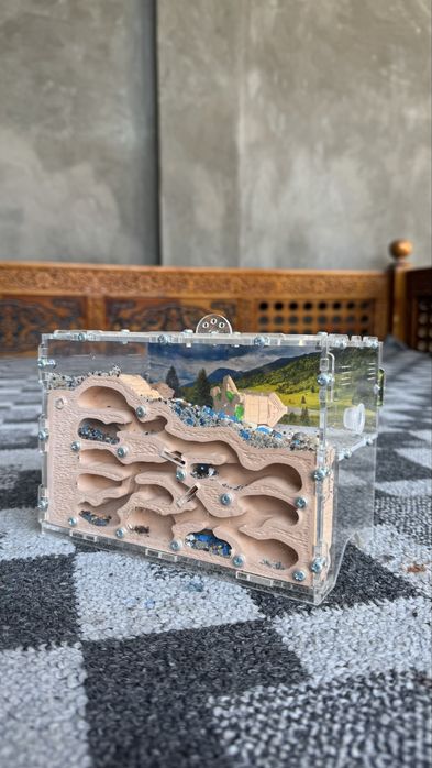 Chumoli ferma (ini) sotiladi