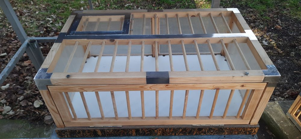 Преноски за гълъби