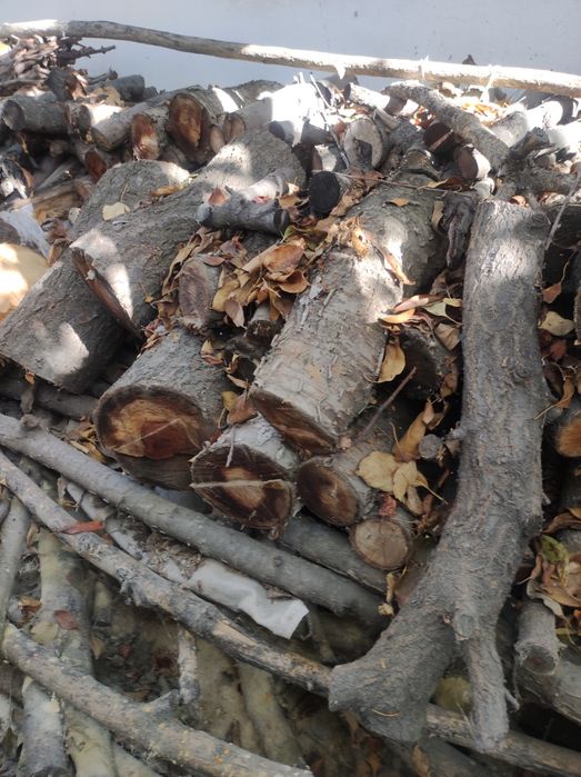 Продаются дрова от фруктовых деревьев