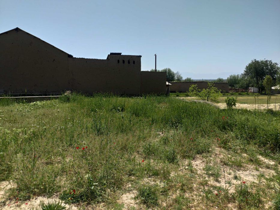 Yer sotiladi 12 sotx Mingchinor,Mingchinormfy Ziynat 3-tor koʻchasi 12