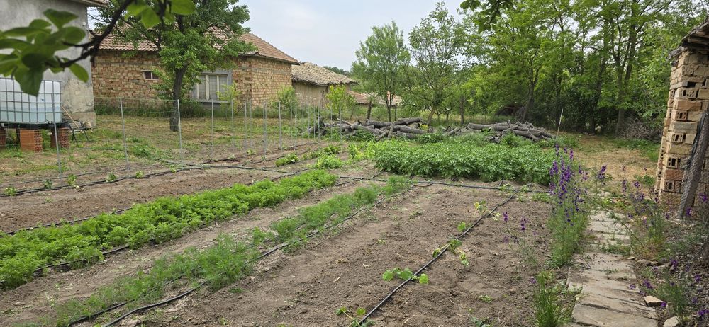 Продава се Къща в с. Златна нива, Област Шумен - 130 кв.м за 275 €/кв.м - Снимка #5