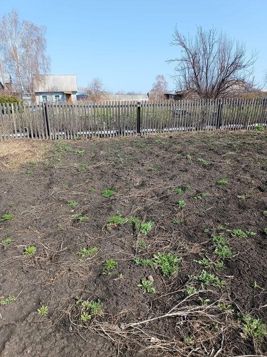 Продам дачу (дачный участок) без построек С/Т " Ракета"