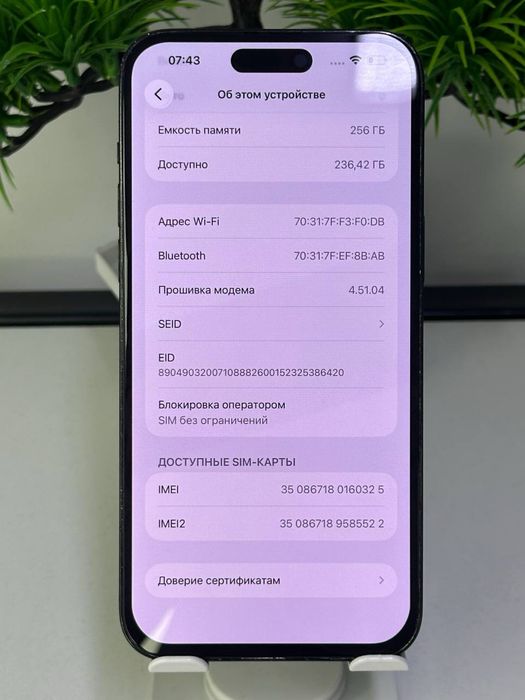 iPhone 14 Pro  Max / 81%  Менялся дисплей