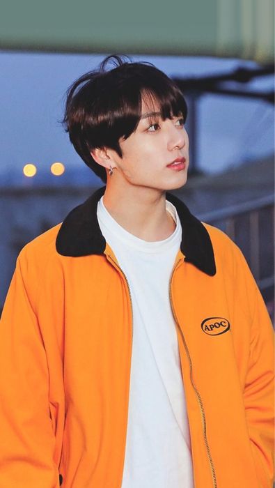 Jungkook BTS Euphoria яке