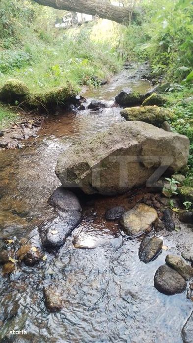 Cabana cu parau si brazi maturi, 1400mp, Valea Fericirii
