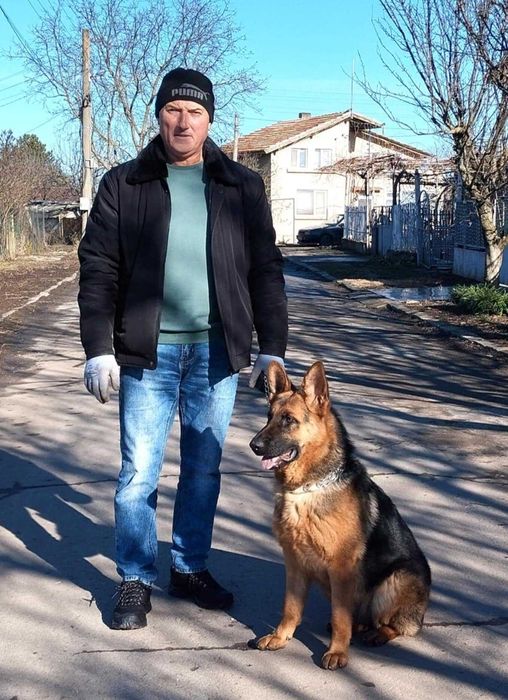 Продавам немска овчарка