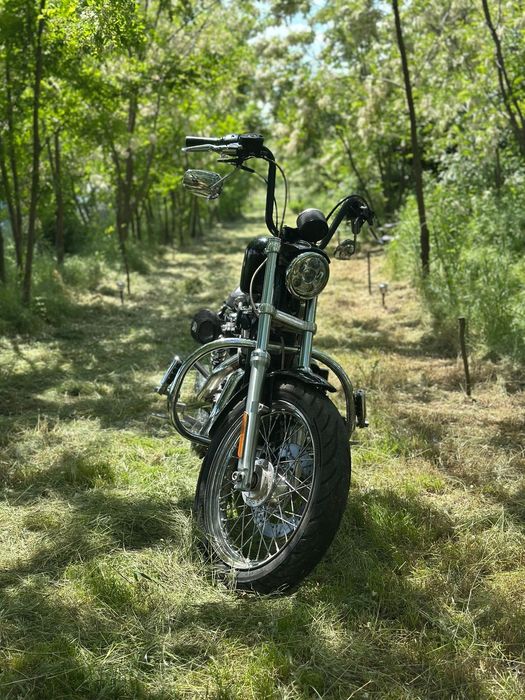 Harley-Davidson XL 883 Sportster Harley Davidson 883 S&S Hooligan Vance and Hines