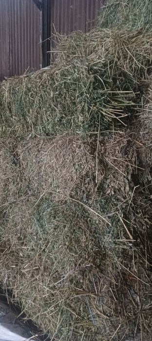 Vând lucerna și floara soarelui