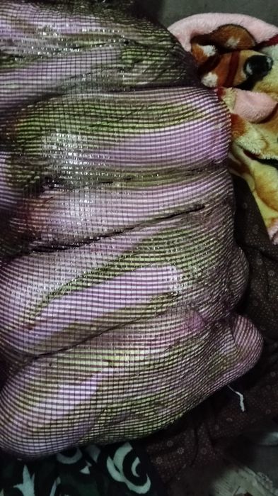 Капуста         басай