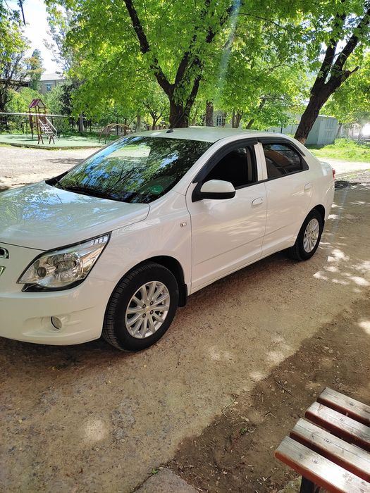 Other Cobalt 2020 — 2