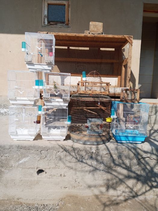 Кушлар учун кафас,2 та лавушка хаммаси янги холатда