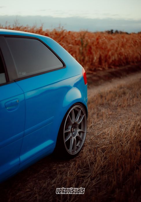 Vand /Schimb Audi A3 8P