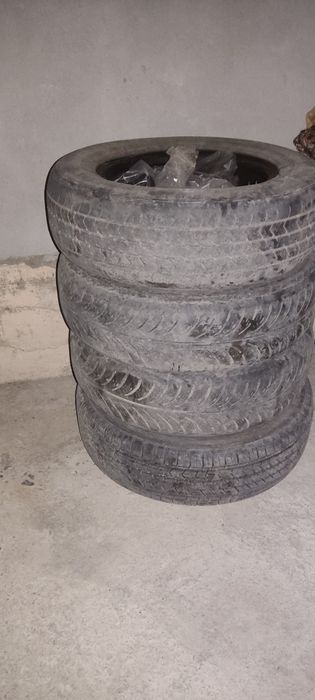 Шина калё дёшова