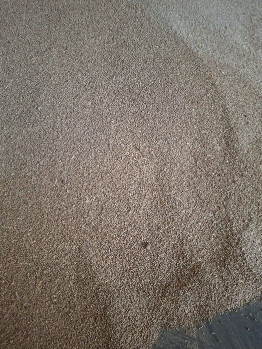 Grau, grîu de vanzare.