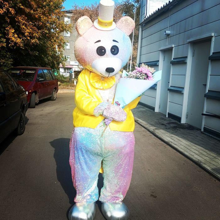 Мишка Тедди, Мишка