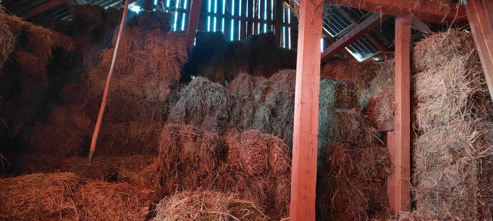 Vând baloți de lucernă și otavă