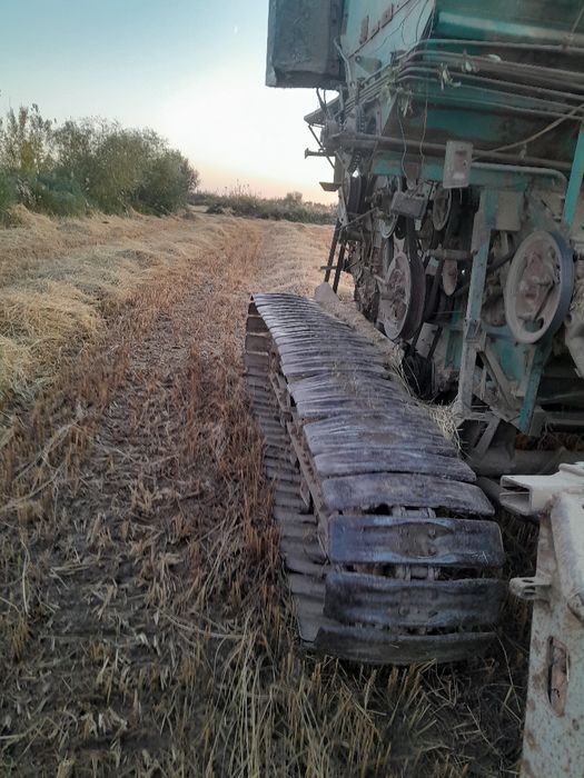 Ensey kanbayin sotilodi hama joyi zoz holatda kalta yonadi