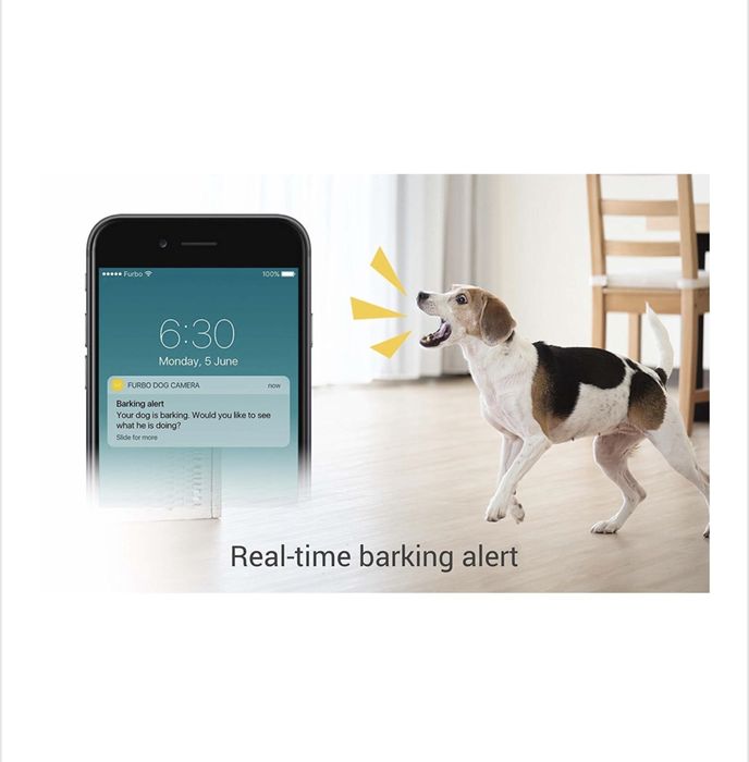 Wifi камера за домашни любимци Furbo, хранилка кучето през телефона