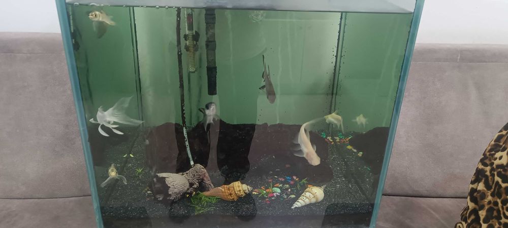 Срочно продам аквариум 125 литр